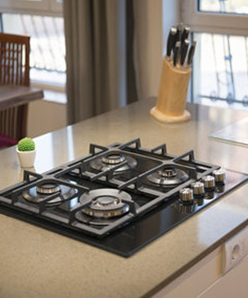 Technician Working on Gas Chulha Repair