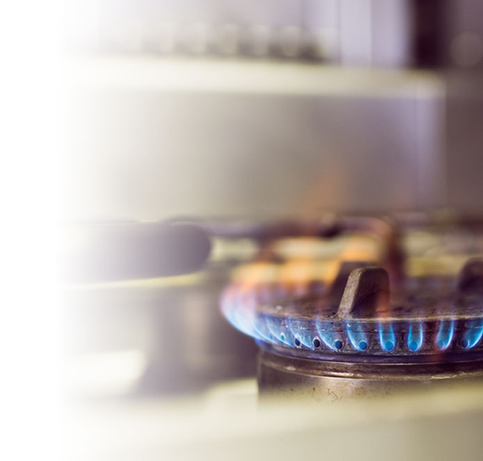 Gas Stove Hob Repair Technician working in Jaipur